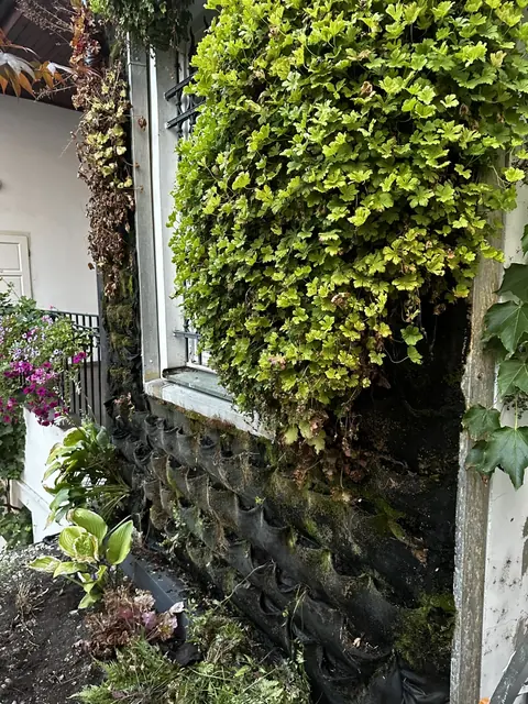 revitalizace zahrady Praha