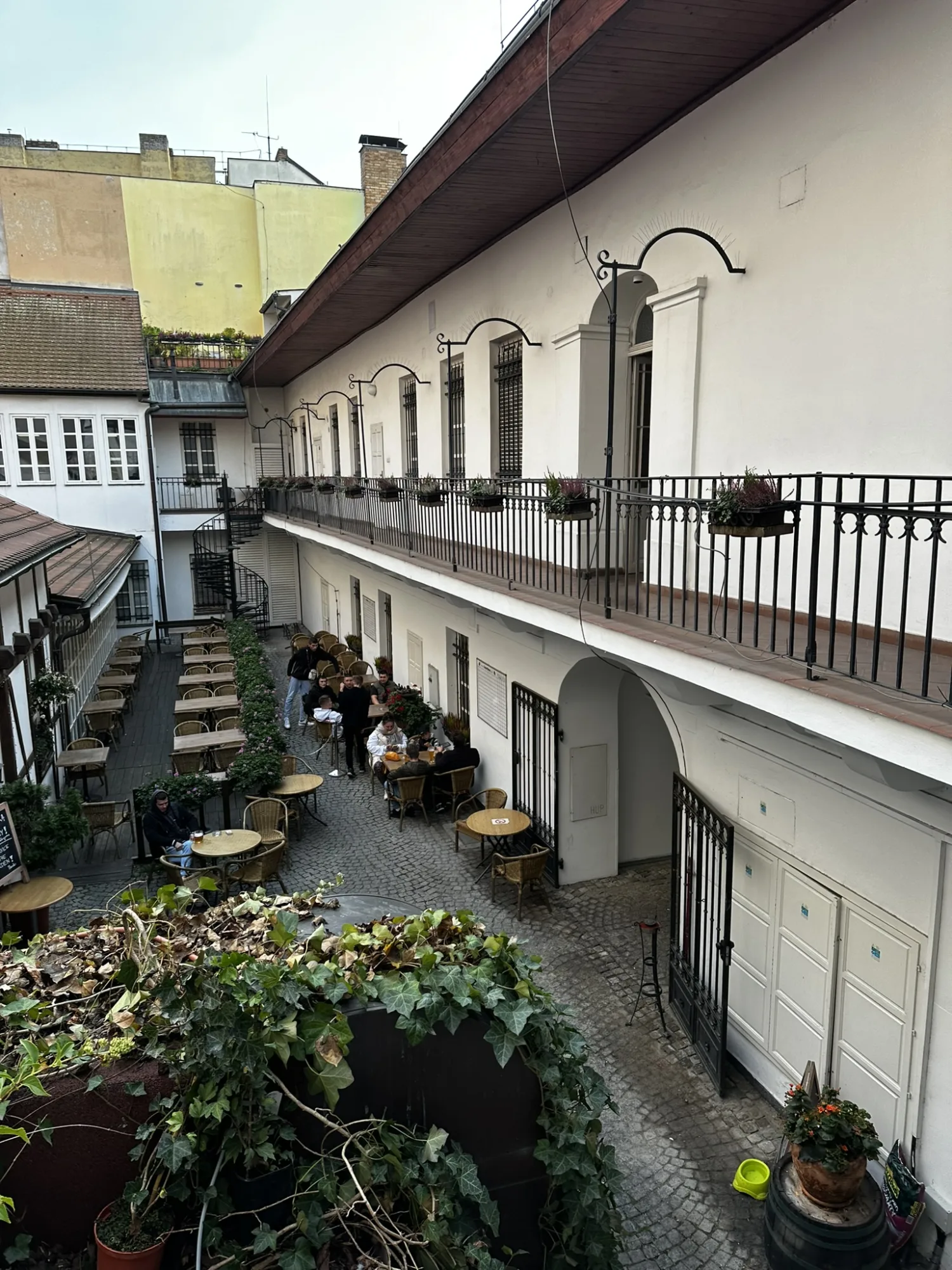 Revitalizace zeleně bytového domu v centru Prahy